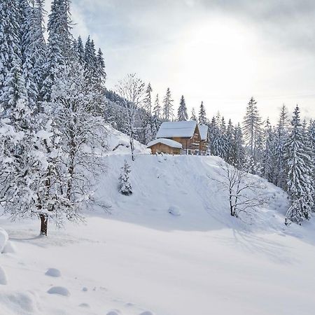 Chalets Almidylle Sankt Martin am Tennengebirge Dış mekan fotoğraf
