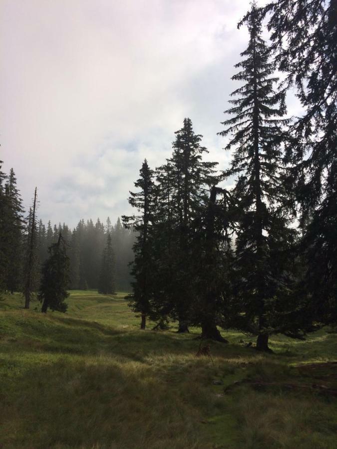 Chalets Almidylle Sankt Martin am Tennengebirge Dış mekan fotoğraf